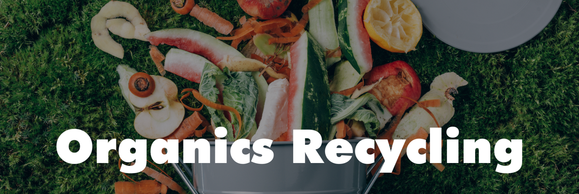 Waste-Food Recycling