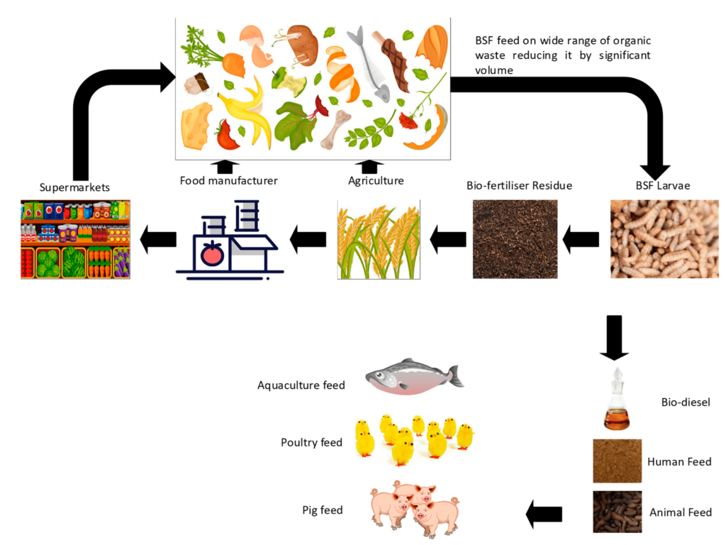 Waste-Food Recycling